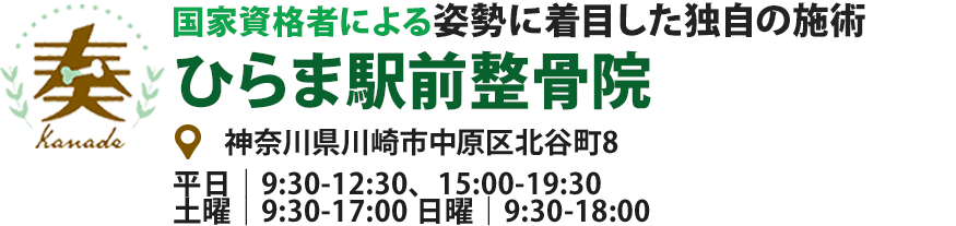 国家資格者による姿勢に着目した独自の施術ひらま駅前整骨院